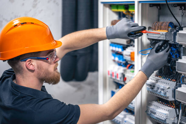 Best Electrical System Inspection  in Taylor Creek, FL